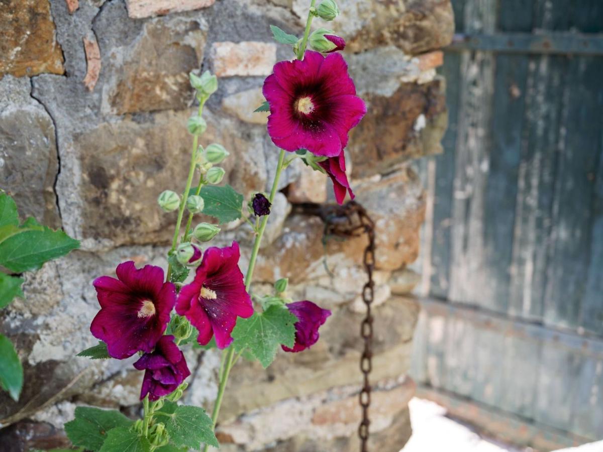Belvilla By Oyo Casa Otaiti Maniace Dış mekan fotoğraf